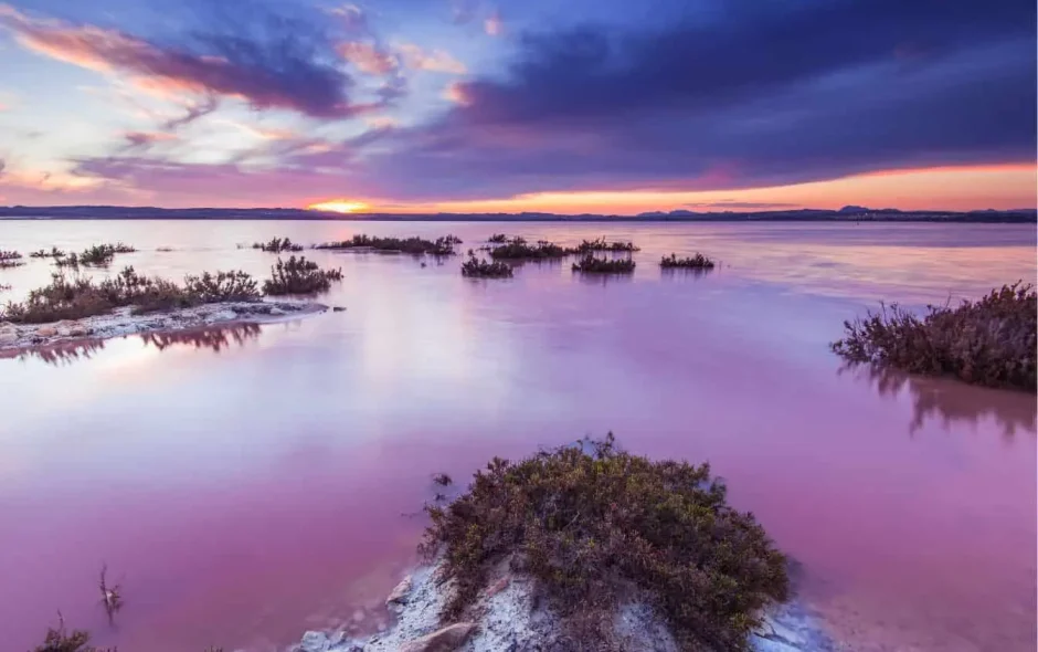 LAS SALINAS DE TORREVIEJA