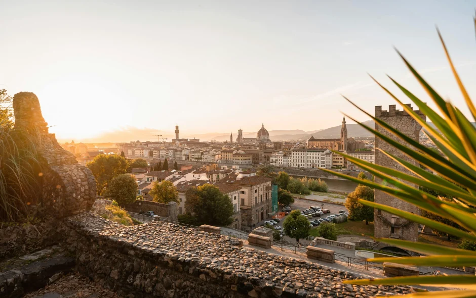 Vue du sommet pays de l'est
