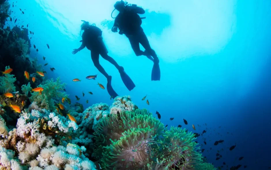 Deux plongeurs explorent un récif corallien coloré illustrant la richesse des spots de plongée en Égypte