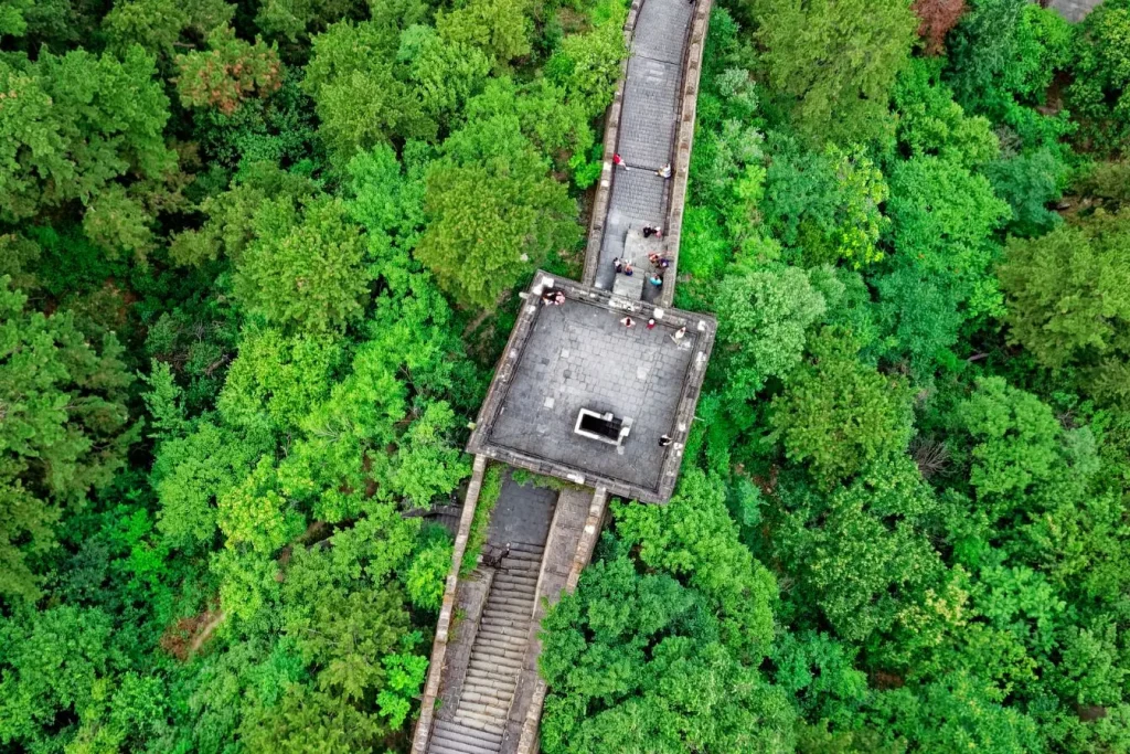 Muraille en pierre serpentant au milieu de collines verdoyantes, image représentant la Grande Muraille de Chine et son héritage culturel.