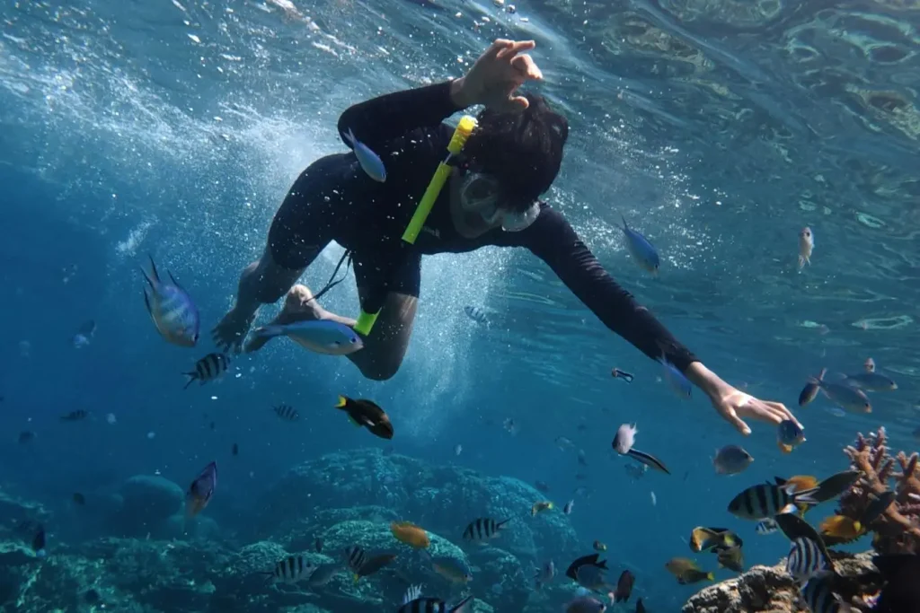 Scène sous-marine avec coraux et poissons tropicaux mettant en avant la beauté du snorkeling aux Maldives.