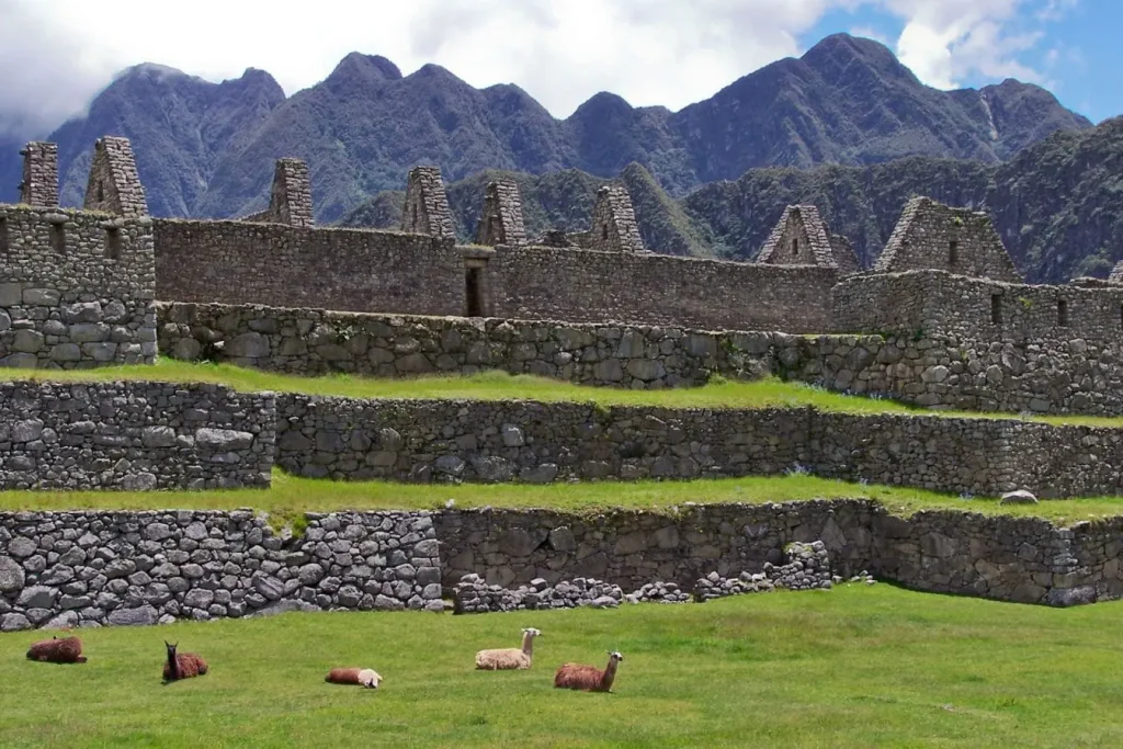 Vue de Machu Picchu avec terrasses incas en pierre et montagnes verdoyantes, site emblématique du Pérou illustrant l’ingénierie ancestrale des Andes.