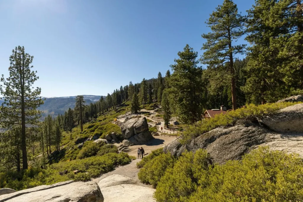 Sentier forestier bordé de pins avec cabane en bois et randonneurs illustrant la beauté des meilleurs parcs nationaux des USA.