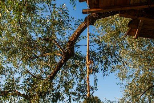 Organiser un week-end nature en Bretagne sans hôtel : 3 expériences qui changent tout