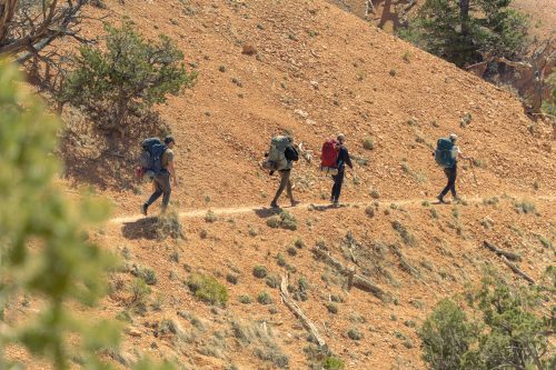 Les 5 plus beaux chemins de randonnée aux USA