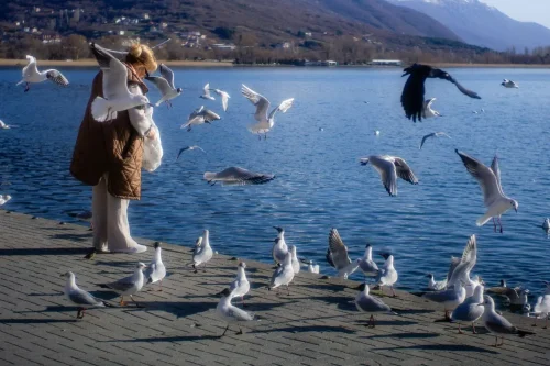 Que faire à Ohrid, Macédoine ? Le guide complet des visites incontournables