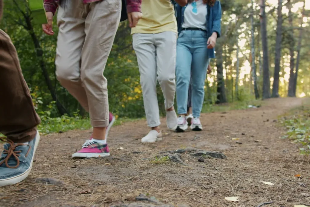 Groupe de marcheurs avançant sur sentier forestier, image qui illustre une sortie familiale pour découvrir la nature de Madère.