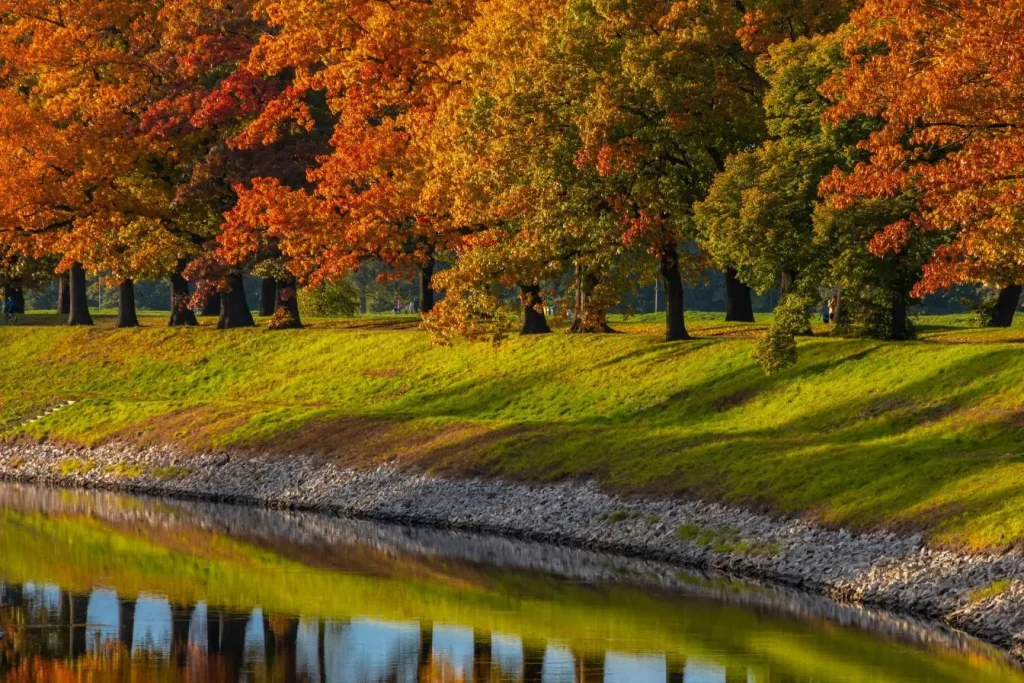 Paysage automnal à Wrocław, arbres colorés bordant rivière calme, reflets lumineux créant atmosphère paisible et invitant à la découverte culturelle.