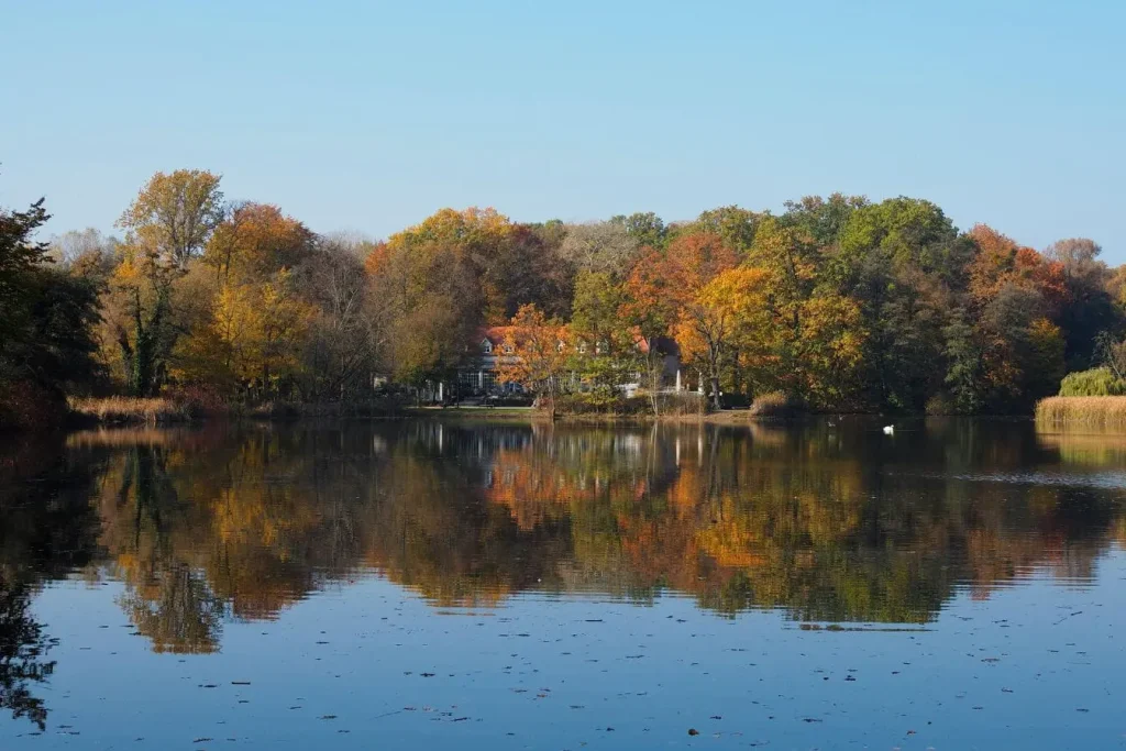 Lac paisible entouré d’arbres aux couleurs d’automne, reflet d’un des plus beaux endroits à découvrir lors d’une visite de Poznań.