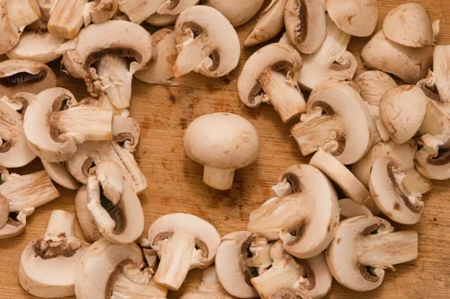 Comment reconnaître les champignons comestibles et cueillir en toute sécurité ?