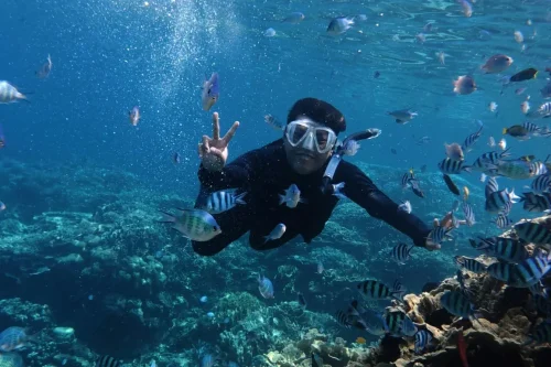 Spots de plongée sous-marine en Méditerranée : les plus beaux sites à explorer